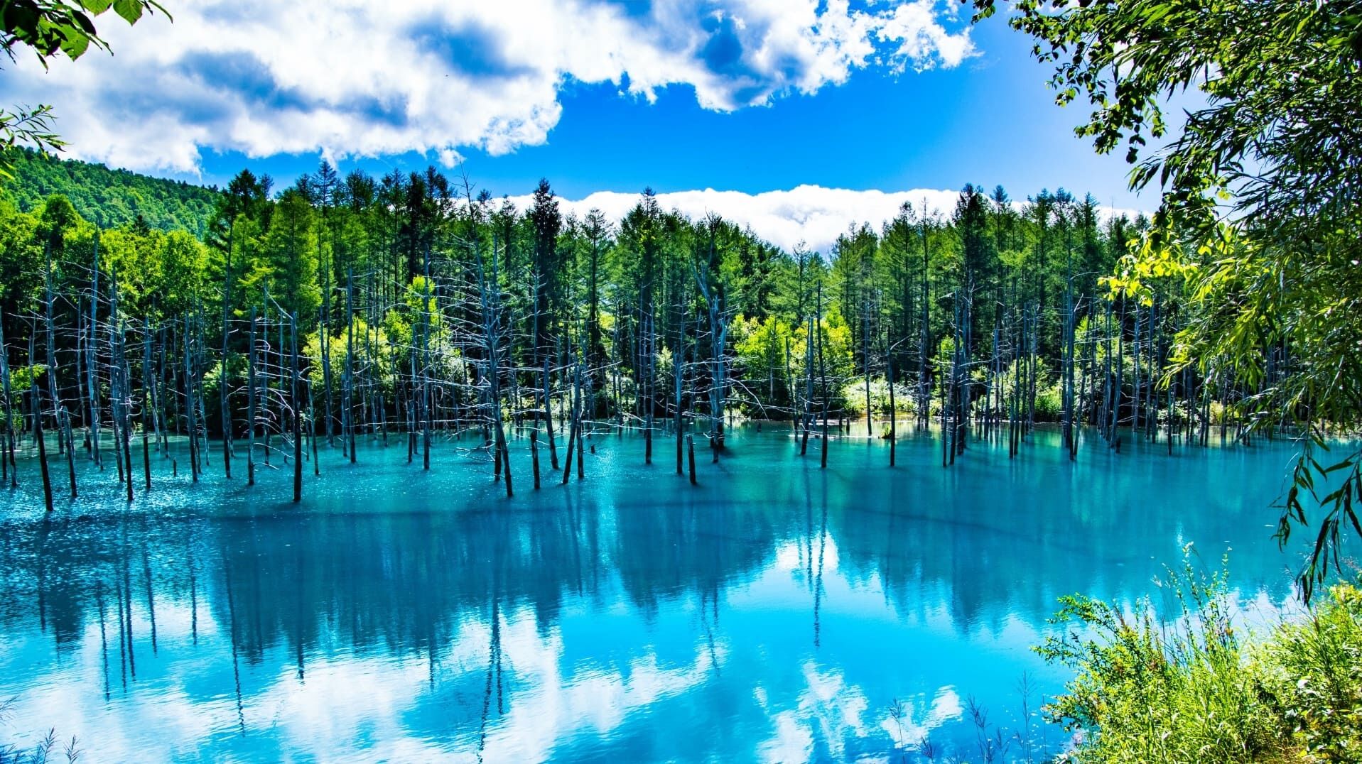 AdobeStock_138470234