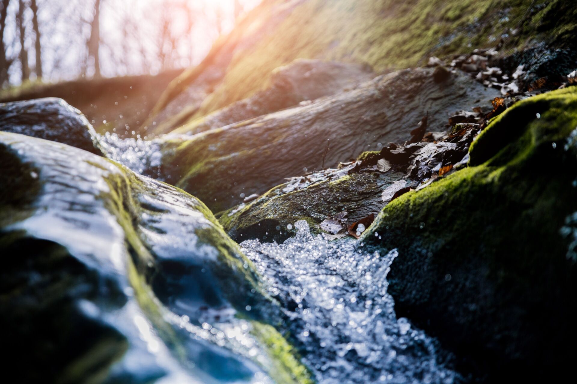 AdobeStock_325948224