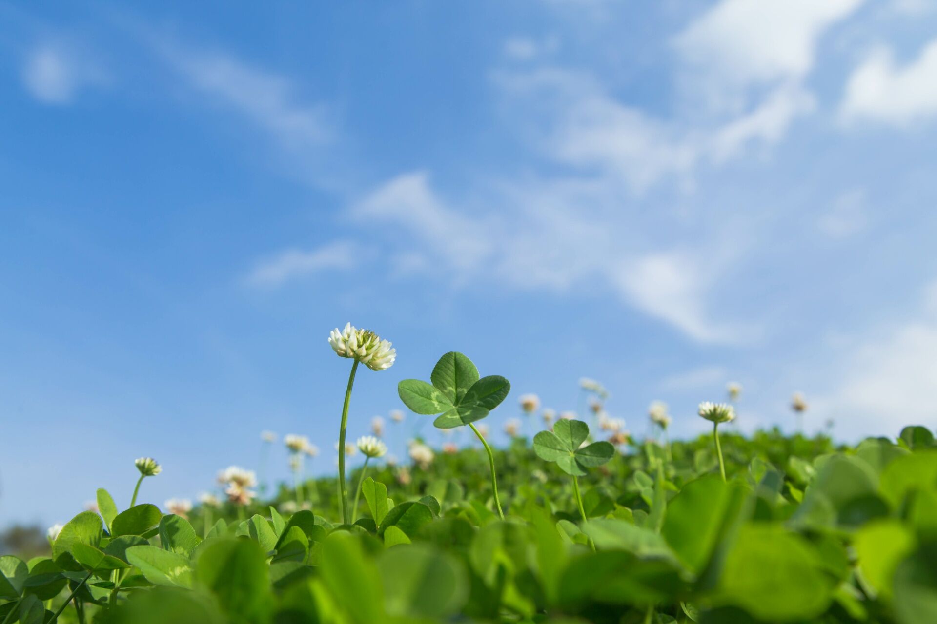 AdobeStock_106975470